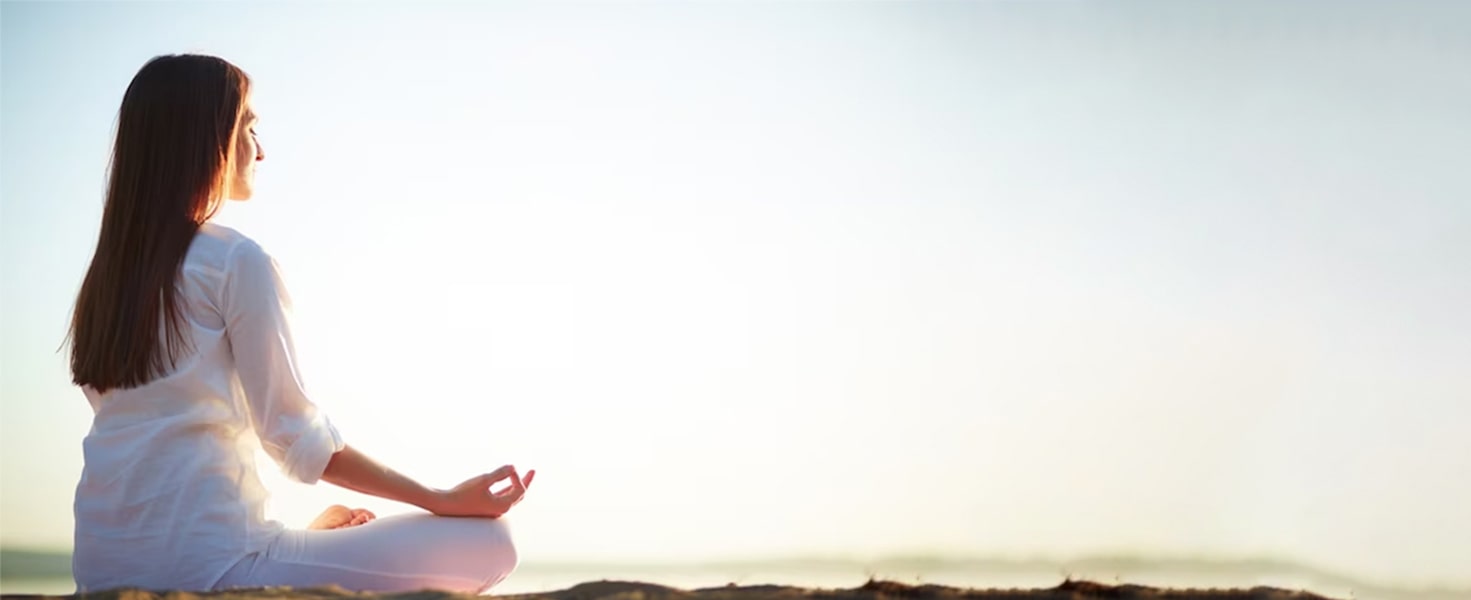 Sukhwani 97 Sepia Amenities